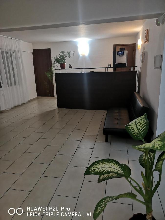 科斯蒂内什蒂 维拉阿克塞尔旅馆酒店 外观 照片