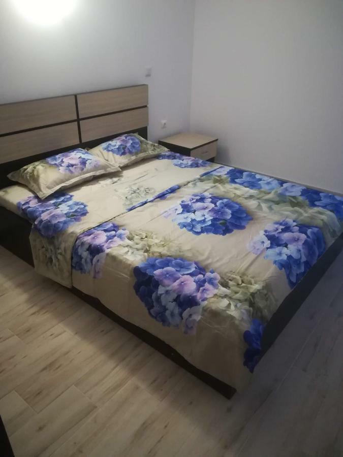 科斯蒂内什蒂 维拉阿克塞尔旅馆酒店 外观 照片